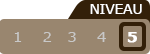Plus de détails sur les niveaux